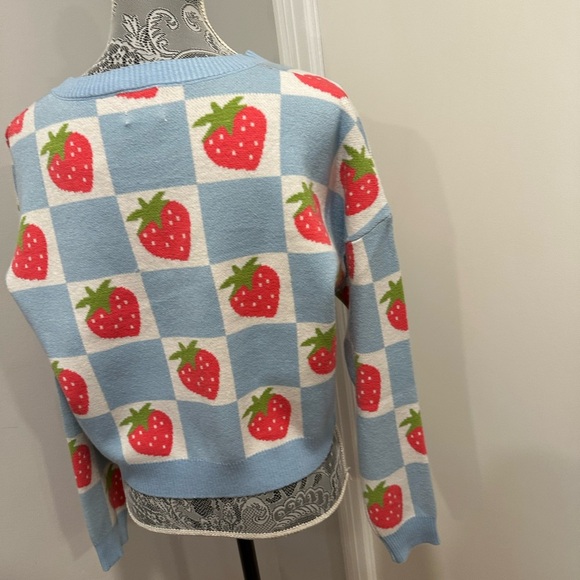 NWT Luna Ivy Anthropologie Strawberry and Blue Checker. Crew Neck Oversized Sm - Picture 16 of 16